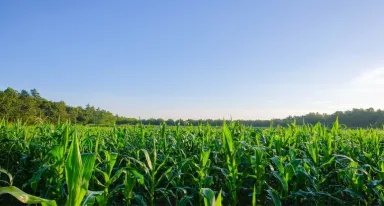 Industrie-Voeding-Gas-Nederland